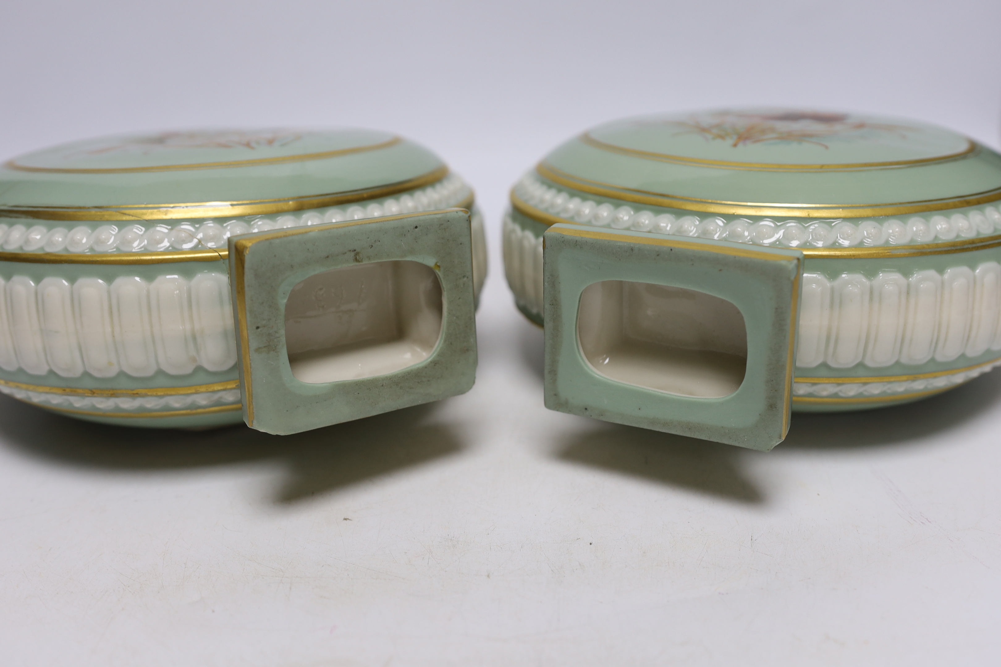 A pair of 19th century Continental moonflasks, decorated in relief and hand painted with butterflies, 28cm high